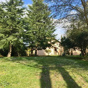 Bethsaid Alloggio per agriturismo Fauglia